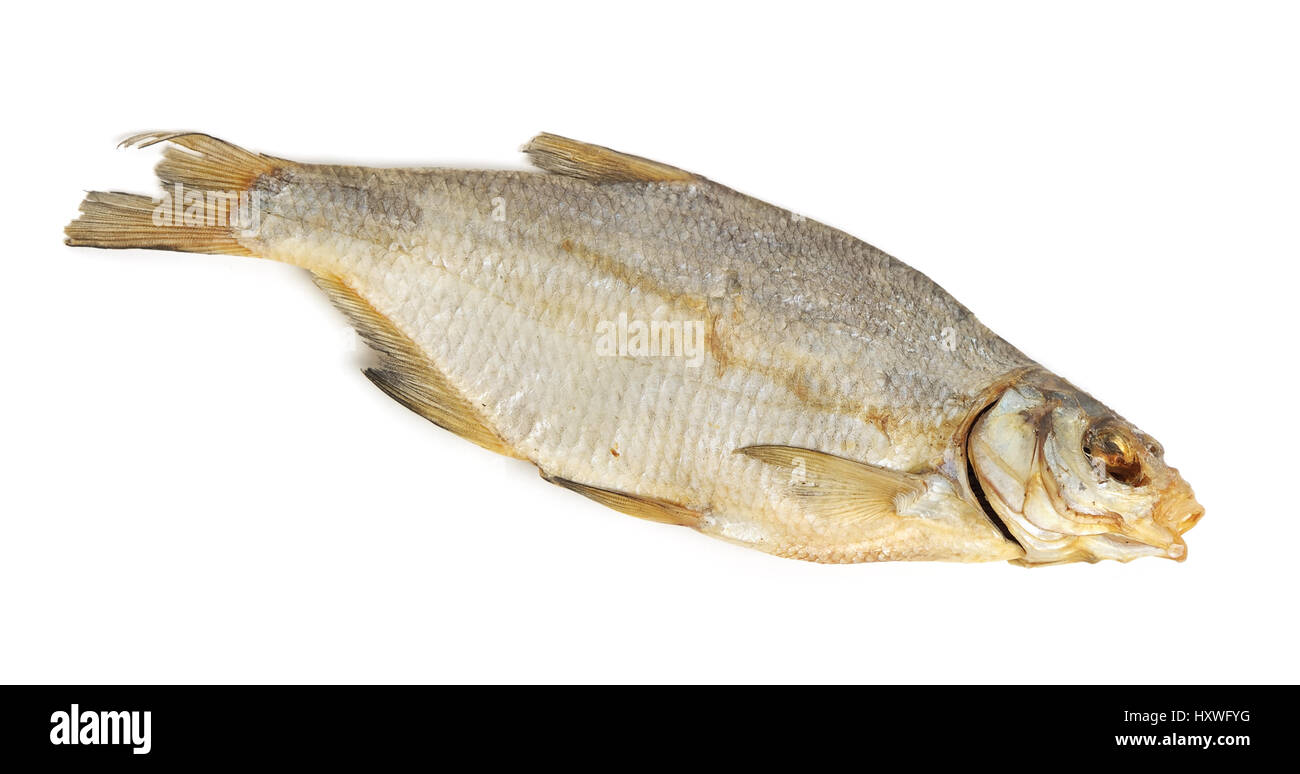 Getrocknete Fische isoliert auf weißem Hintergrund Stockfoto