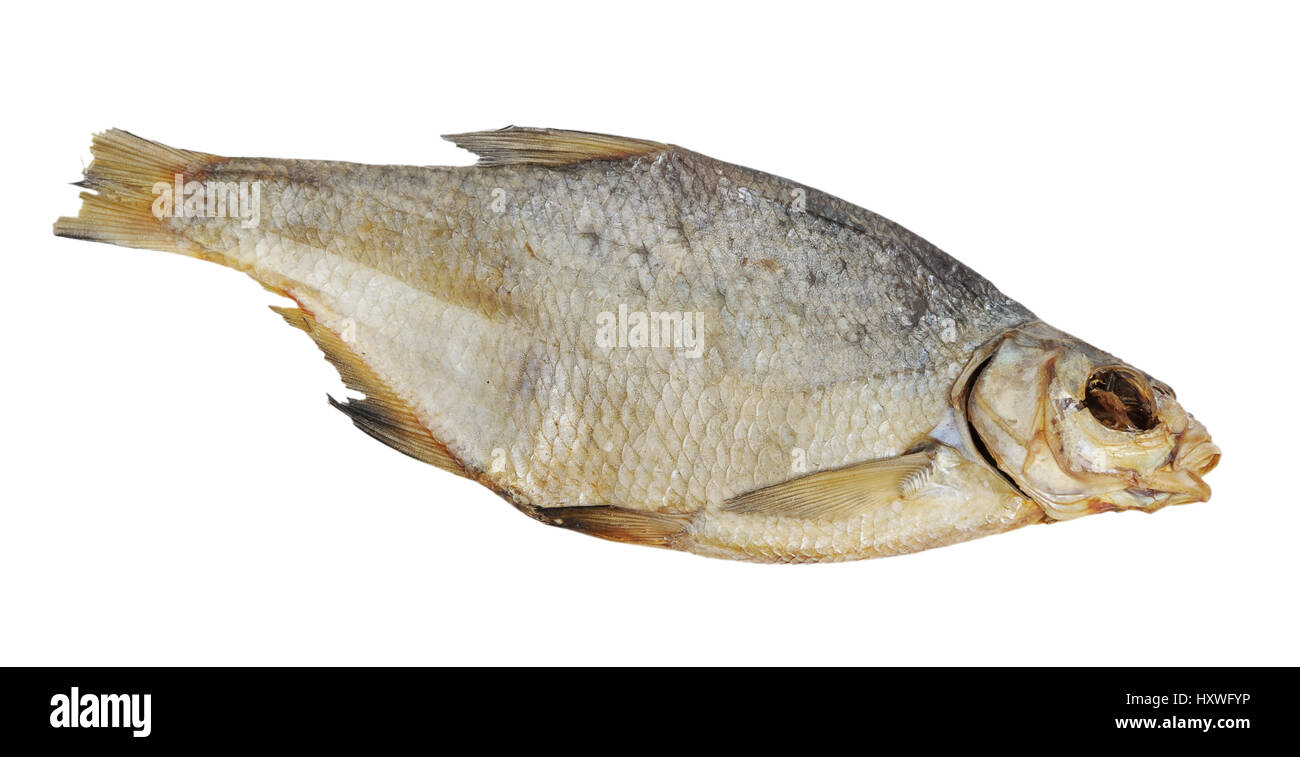 Getrocknete Fische isoliert auf weißem Hintergrund Stockfoto