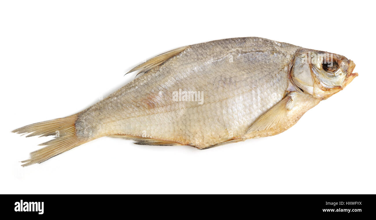 Getrocknete Fische isoliert auf weißem Hintergrund Stockfoto
