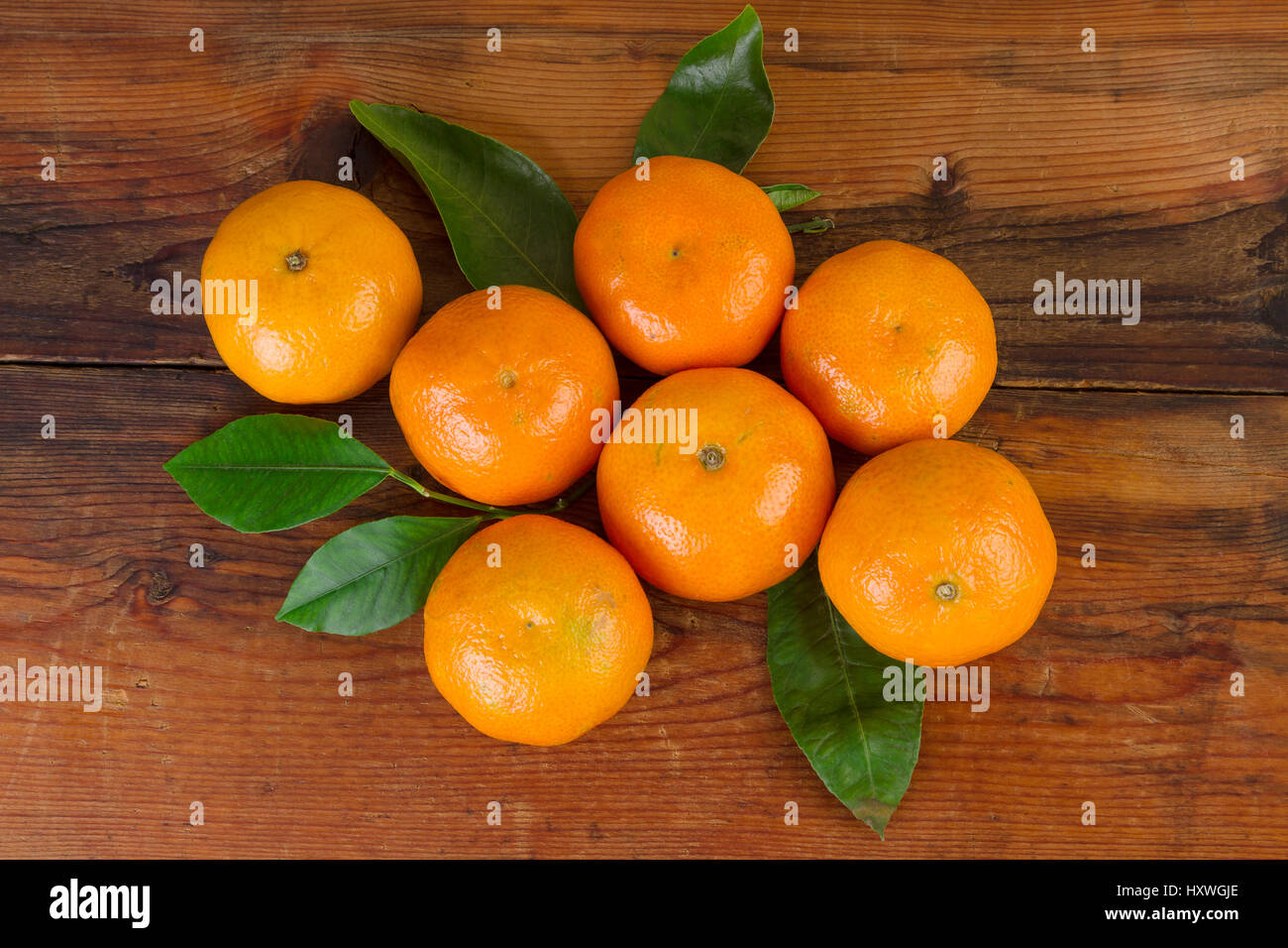Mandarinen-Früchte über Holz Closeup. Frische Mandarinen-Draufsicht Stockfoto