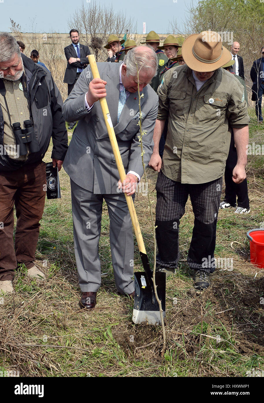 Die Prince Of Wales Pflanzen ein Baum bei einem Rundgang durch Delta Nature Park in Bukarest, Rumänien, während einer neuntägigen Besuch in Europa. Stockfoto