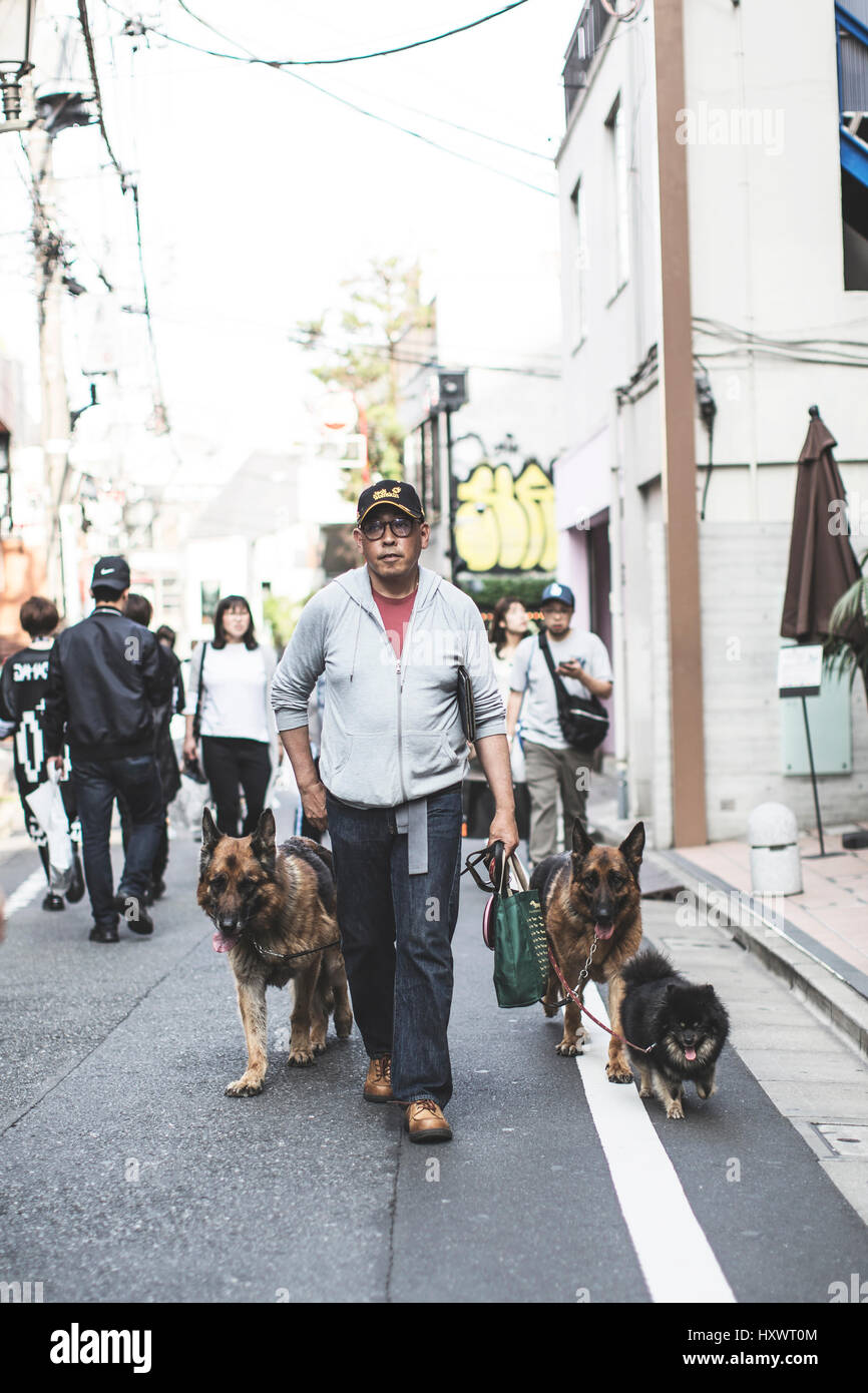 Japanischen Mann zu Fuß mit seinen drei Hunden auf einer Straße in Tokio, Japan. Stockfoto