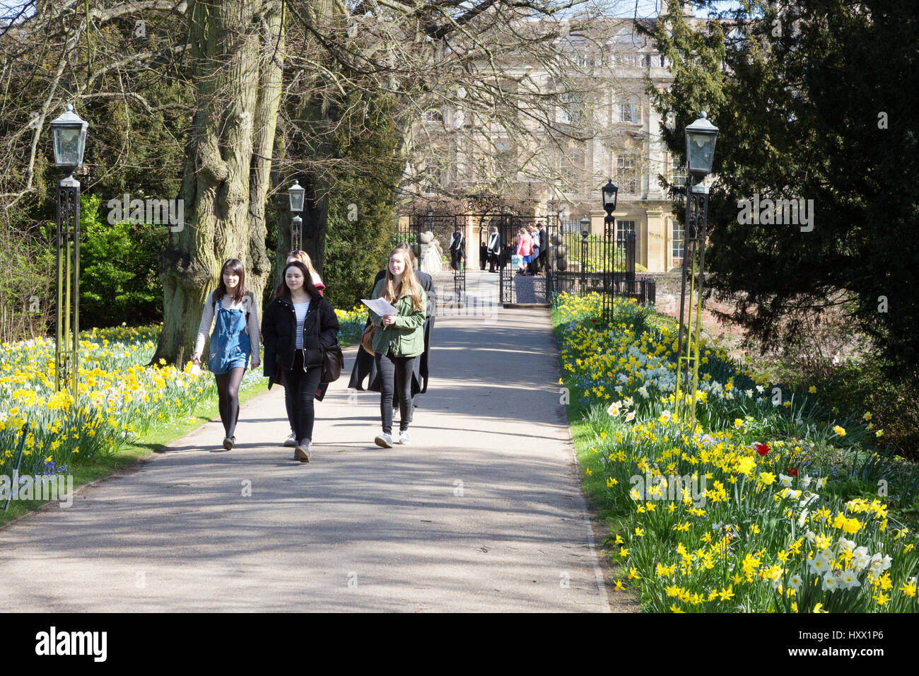 Studenten der Cambridge University bei einem Spaziergang im Clare College Cambridge UK im Frühjahr, Cambridge University Cambridge UK Stockfoto