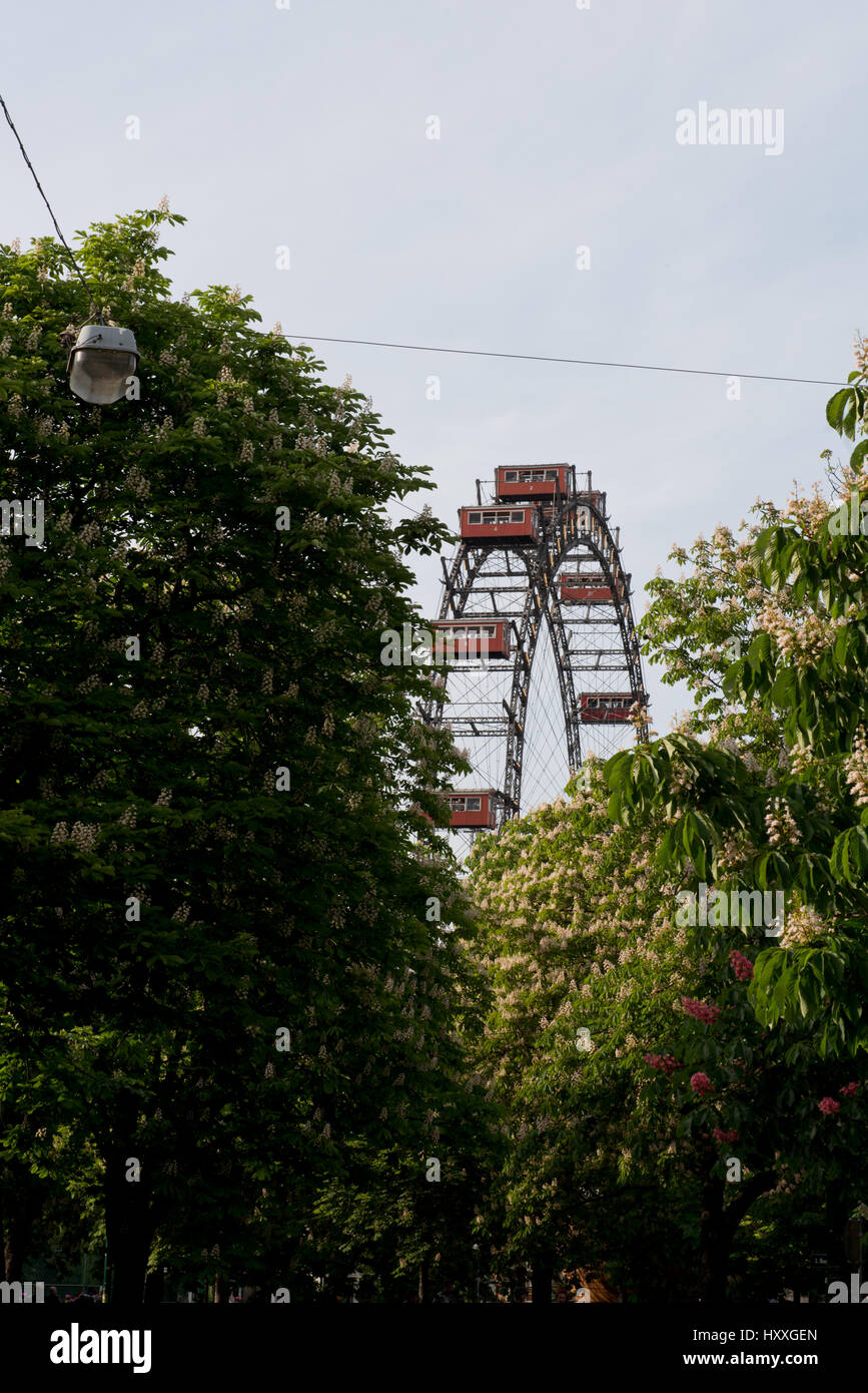 Riesenrad Im Wiener Prater, Prater, Wien, Österreich Stockfoto