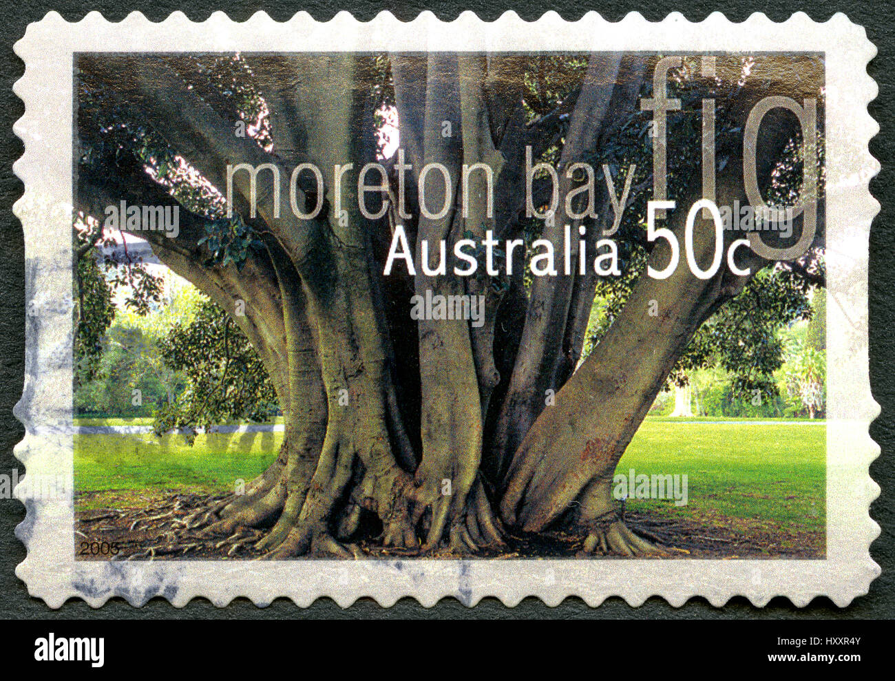 Australien - CIRCA 2005: Eine gebrauchte Briefmarke aus Australien, ein Bild der Moreton Bay in Australien, ca. 2005. Stockfoto