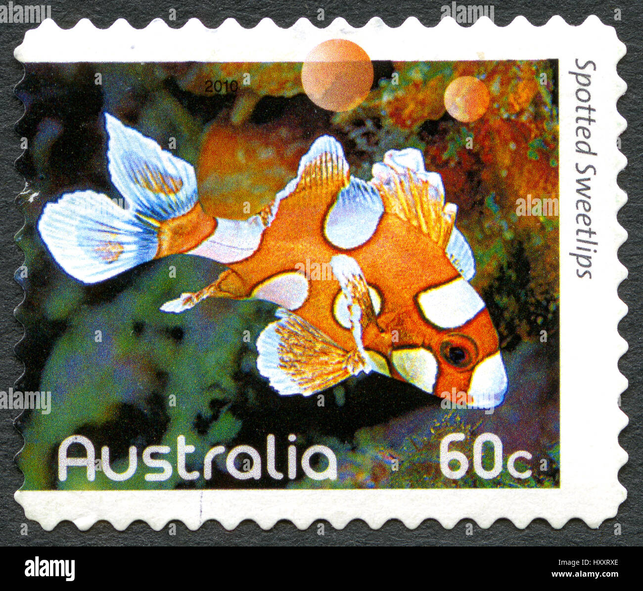 Australien - ca. 2010: Eine gebrauchte Briefmarke aus Australien, ein Bild eines Fisches entdeckt Süßlippen, ca. 2010. Stockfoto
