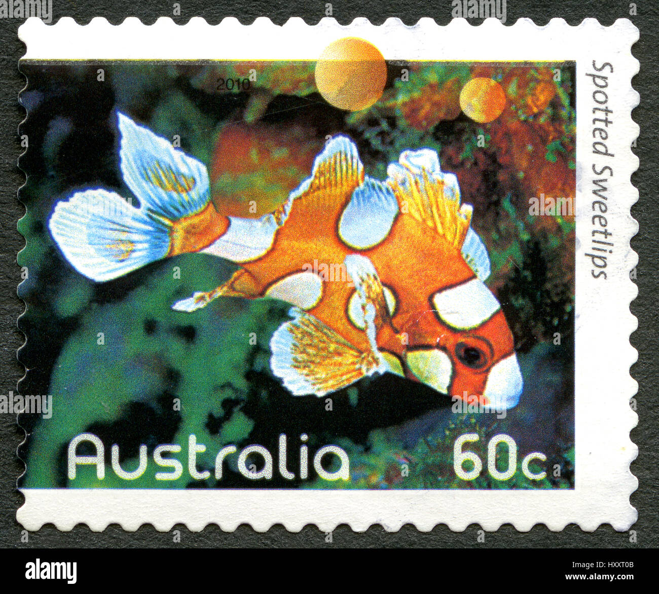 Australien - ca. 2010: Eine gebrauchte Briefmarke aus Australien, ein Bild eines Fisches entdeckt Süßlippen, ca. 2010. Stockfoto