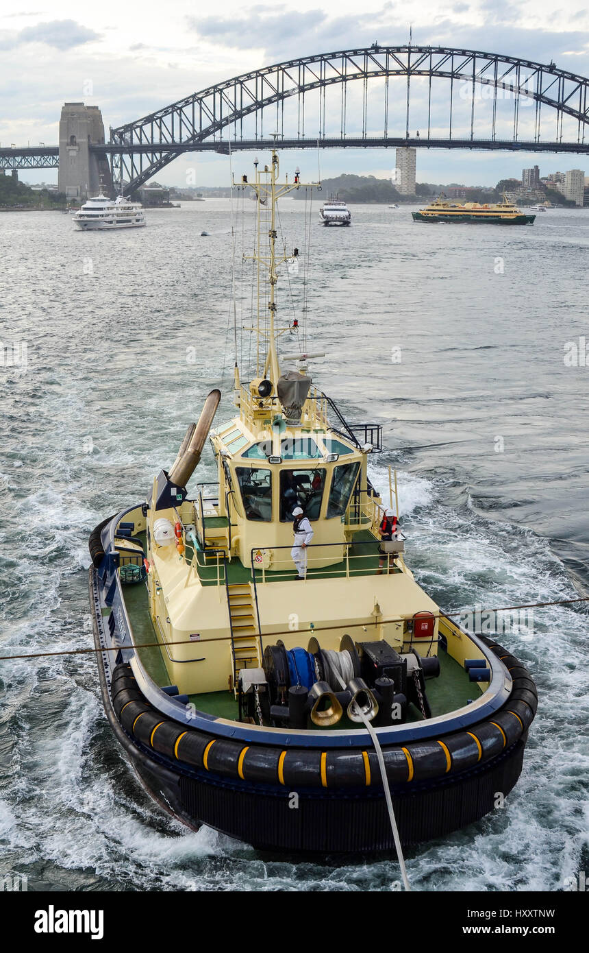 Lotsenboot in sydney Stockfoto