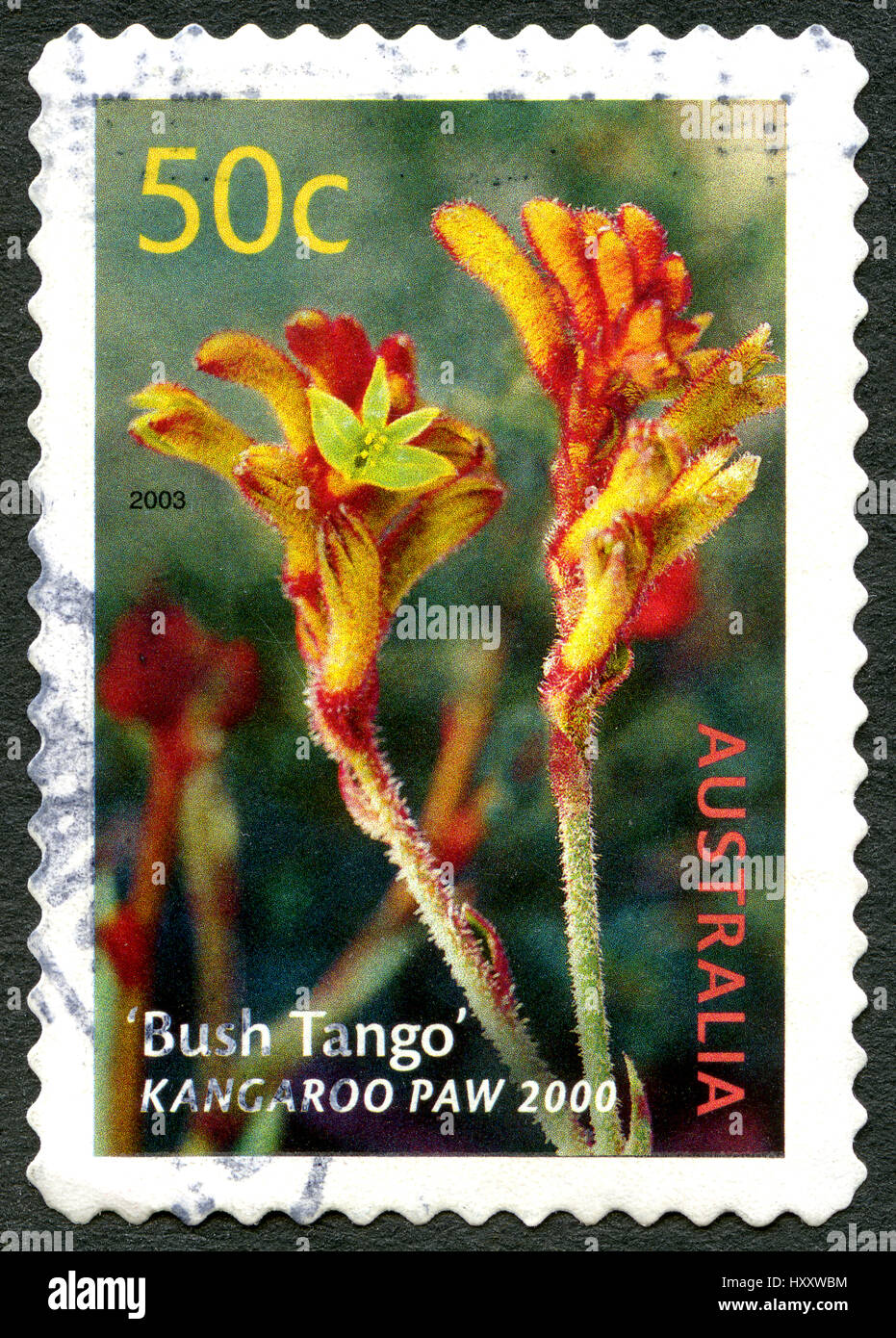 ASUTRALIA - CIRCA 2003: Eine gebrauchte Briefmarke aus Australien, ein Bild der Kangaroo Paw Pflanze, auch bekannt als Bush Tango, circa 2003. Stockfoto