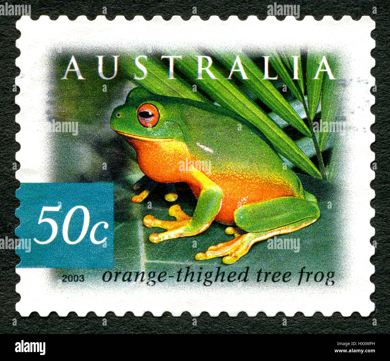 Australien - CIRCA 2003: Eine gebrauchte Briefmarke aus Australien, ein Bild von einem Orange Thighed Laubfrosch, circa 2003. Stockfoto