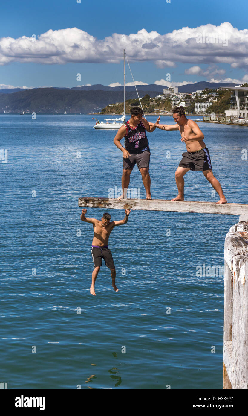 Wellington, New Zealand - 11. Februar 2017: Wellington Waterfront mit Jugendlichen springen von einem Sprungbrett in der Nähe von Frank Kitts Park und Lagune Brücke. Stockfoto