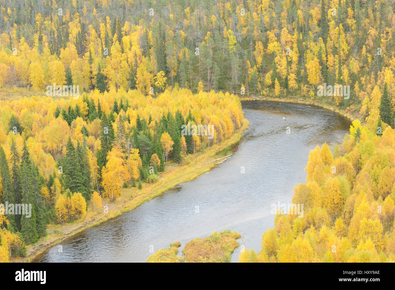 Kitkajoki Fluss, Oulanka, Finnland. September 2008 Stockfoto