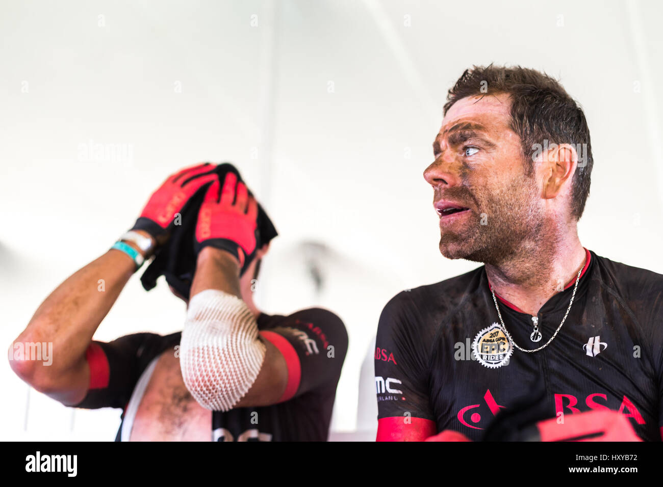 Cadel Evans, George Hincapie Stockfoto