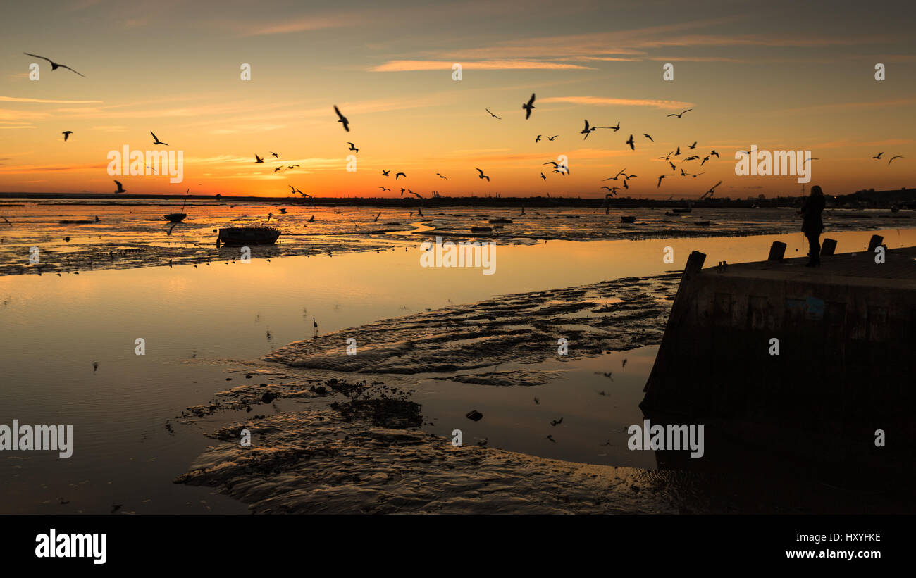 Fischerei-Hafen Hafen Sonnenuntergang Möwen fliegen Ebbe Stockfoto