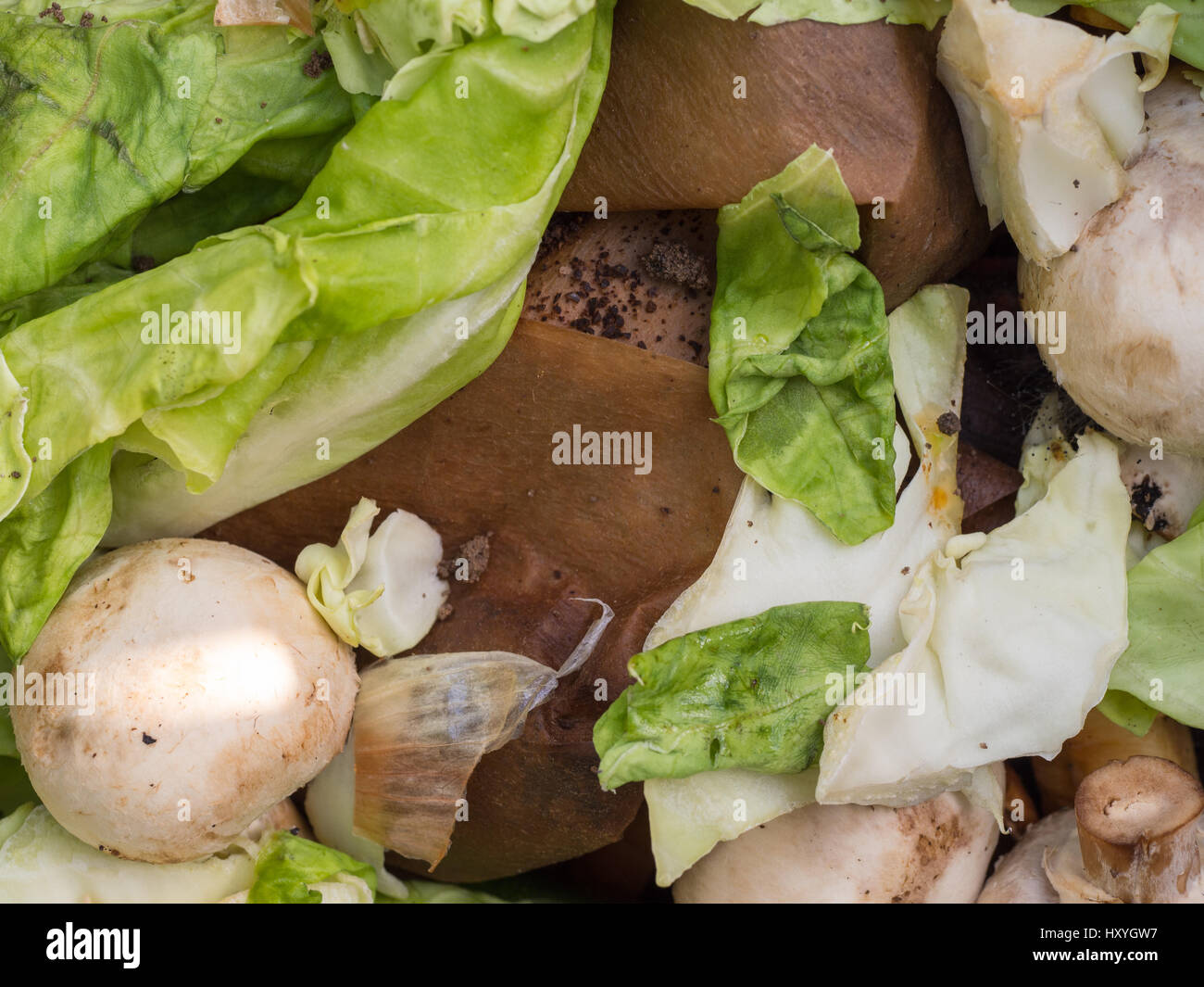 Biomasse mit Salat und Pilzen auf der Oberseite der Kompost Stockfoto