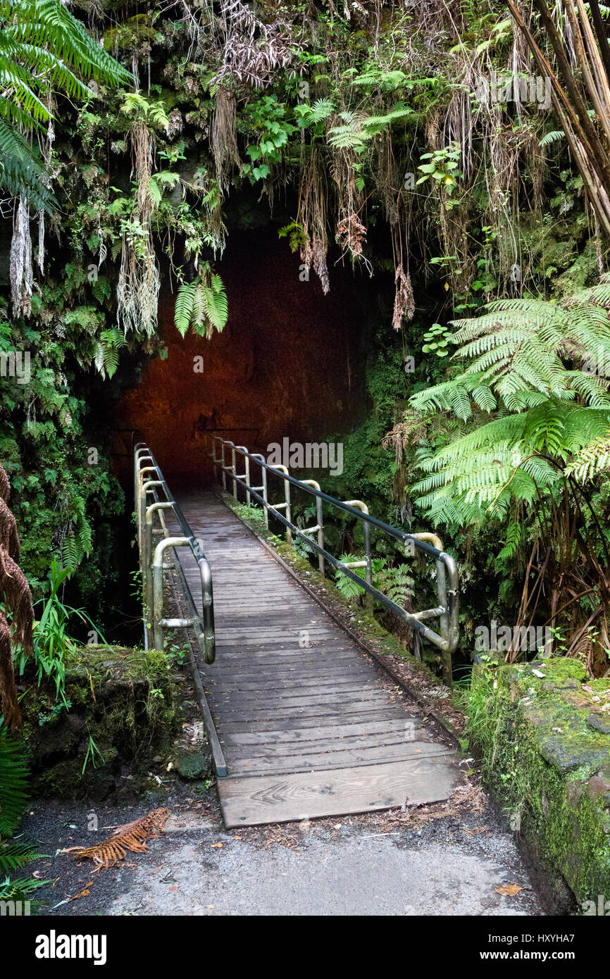 Eingang zum Thurston Lava Tube im Hawaii Volcanoes National Park auf Big Island, Hawaii, USA. Stockfoto