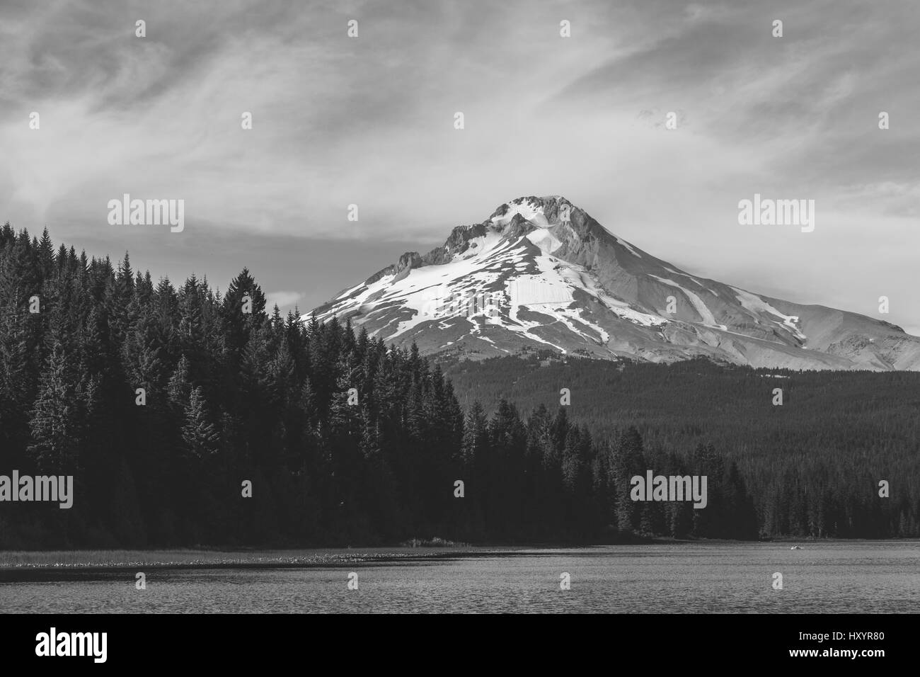 Mount Hood über Trillium-See in Oregon, USA. Schwarz und weiß. Stockfoto