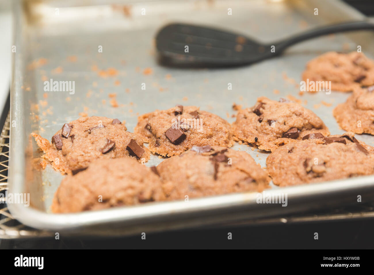 Frisch gebackene Kekse in Cookie Pfanne mit Spachtel in der Nähe. Diese besondere Rezeptur verwendet glutenfrei Zutaten. Stockfoto
