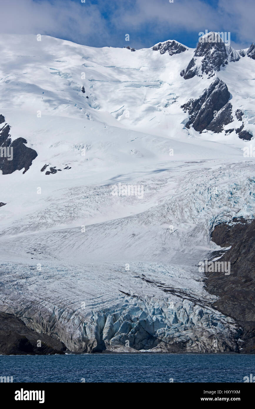 Schrader-Gletscher im Hafen von Wilson, Süd-Georgien. Januar 2015. Stockfoto