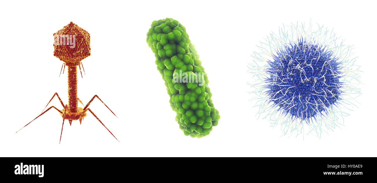 Bakteriophagen Virus, Bakterium und Mimivirus, Satz von mikroskopisch kleinen Keime, die Infektionskrankheiten, isoliert auf weiss, virale und bakterielle Infe verursachen Stockfoto