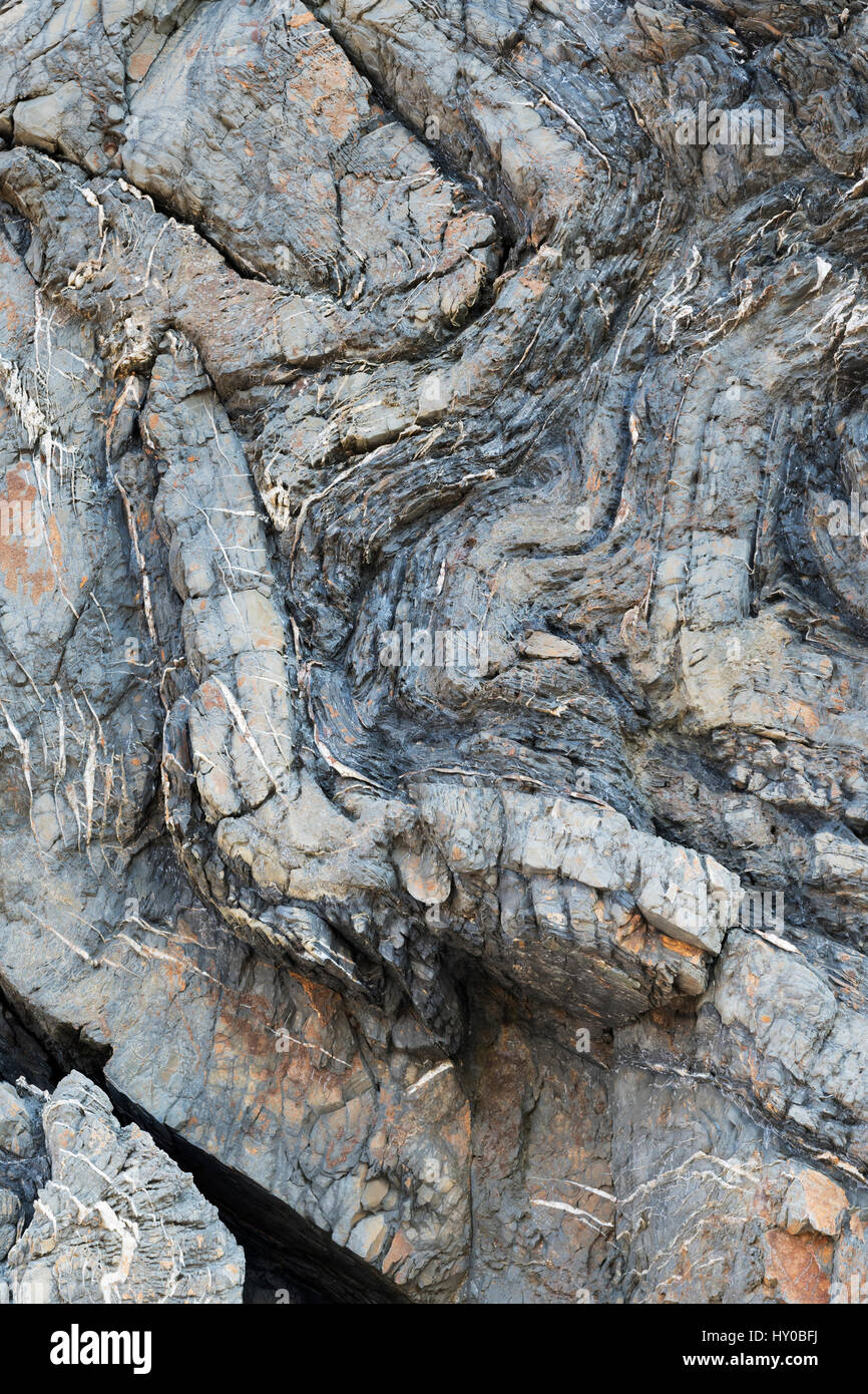 Rock Detail, Welcombe Mund, Devon Stockfoto