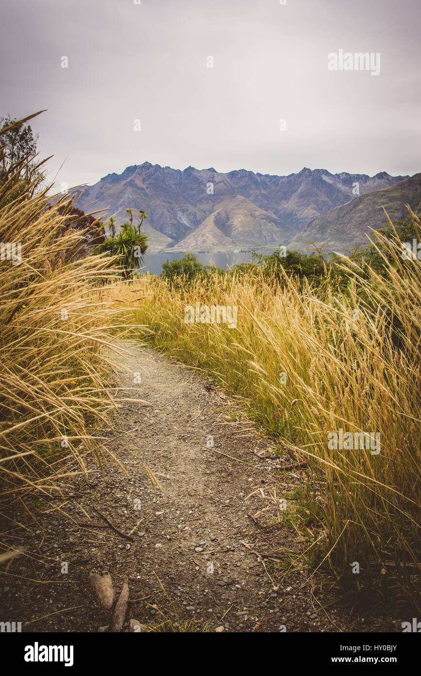 Weg auf Wanderung in Otago, Neuseeland Stockfoto