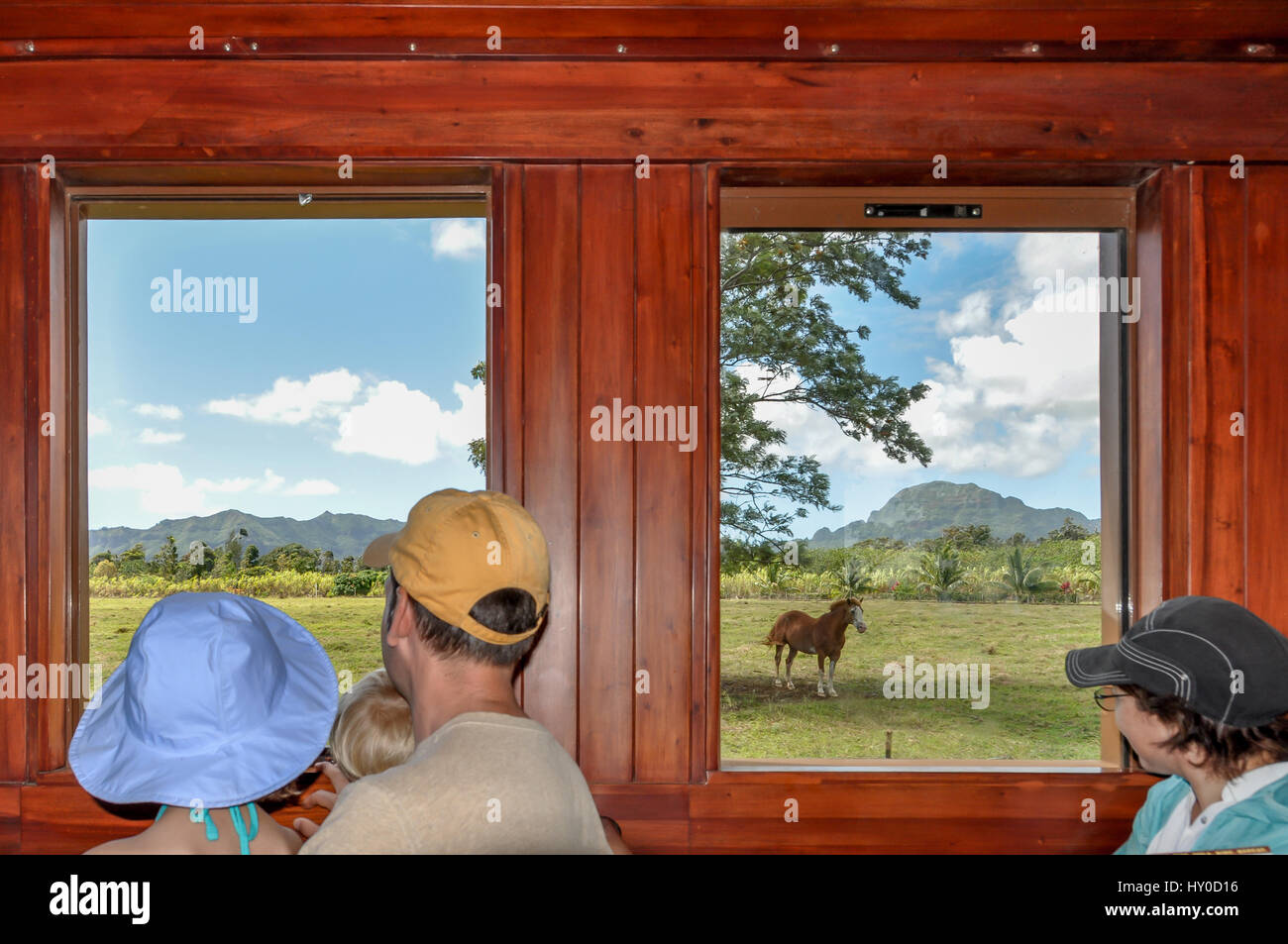 Passagiere, einschließlich Kinder Ausschau zwei Fenster von Kauai Plantation Railway in Kilohana, wie sie ein Pferd auf der Weide, Kauai, Hawaii passieren. Stockfoto