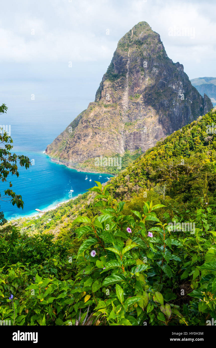 Petit Piton, eines der beiden (mit Gros Piton) vulkanische Stecker an der Westküste der Insel St. Lucia in der Karibik Stockfoto