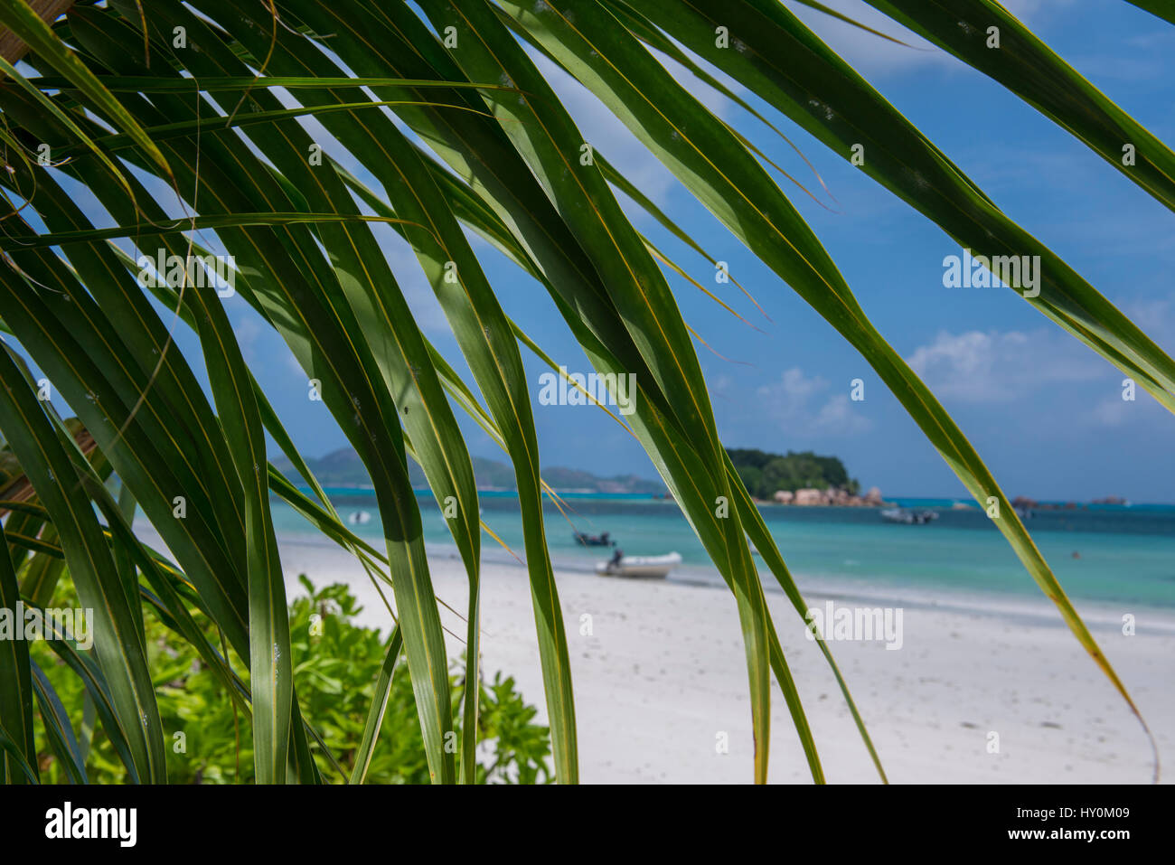 Seychellen, Praslin. Cote d ' or, einer der schönsten Strände auf der Insel. Stockfoto