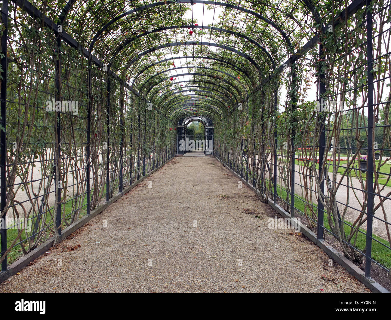 Österreich, Wien, Schönbrunn Schlossgarten Stockfoto
