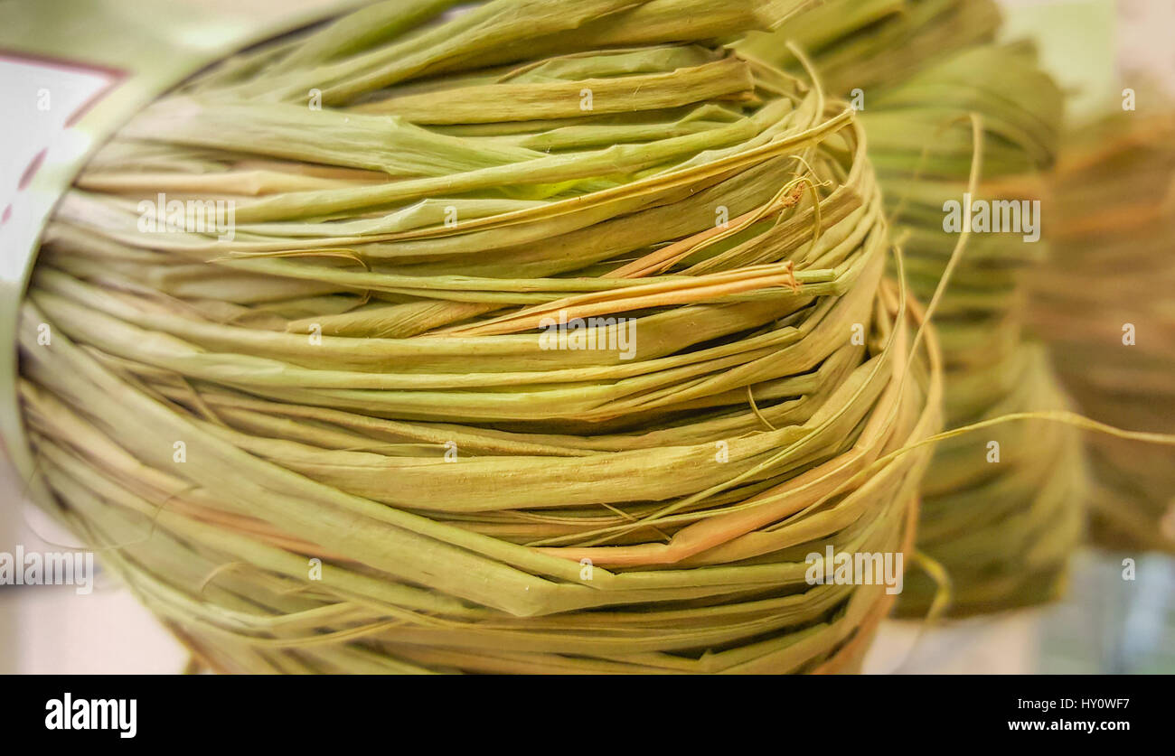 Madagaskar raffia Bundles natürliche Zusammenfassung Hintergrund. Grün und Gelb. Bast in Langen, geschmeidig natürlichen Fasern, Ideal für Handwerk, Blumenarrangements, Stockfoto