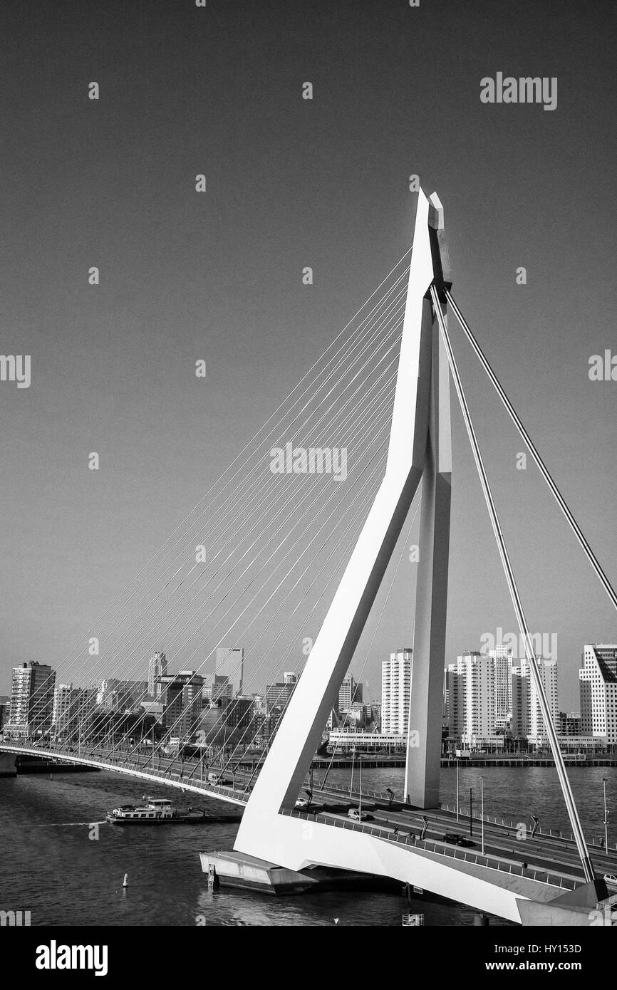 Erasmusbrücke in Rotterdam, die Niederlande, Europa Stockfoto