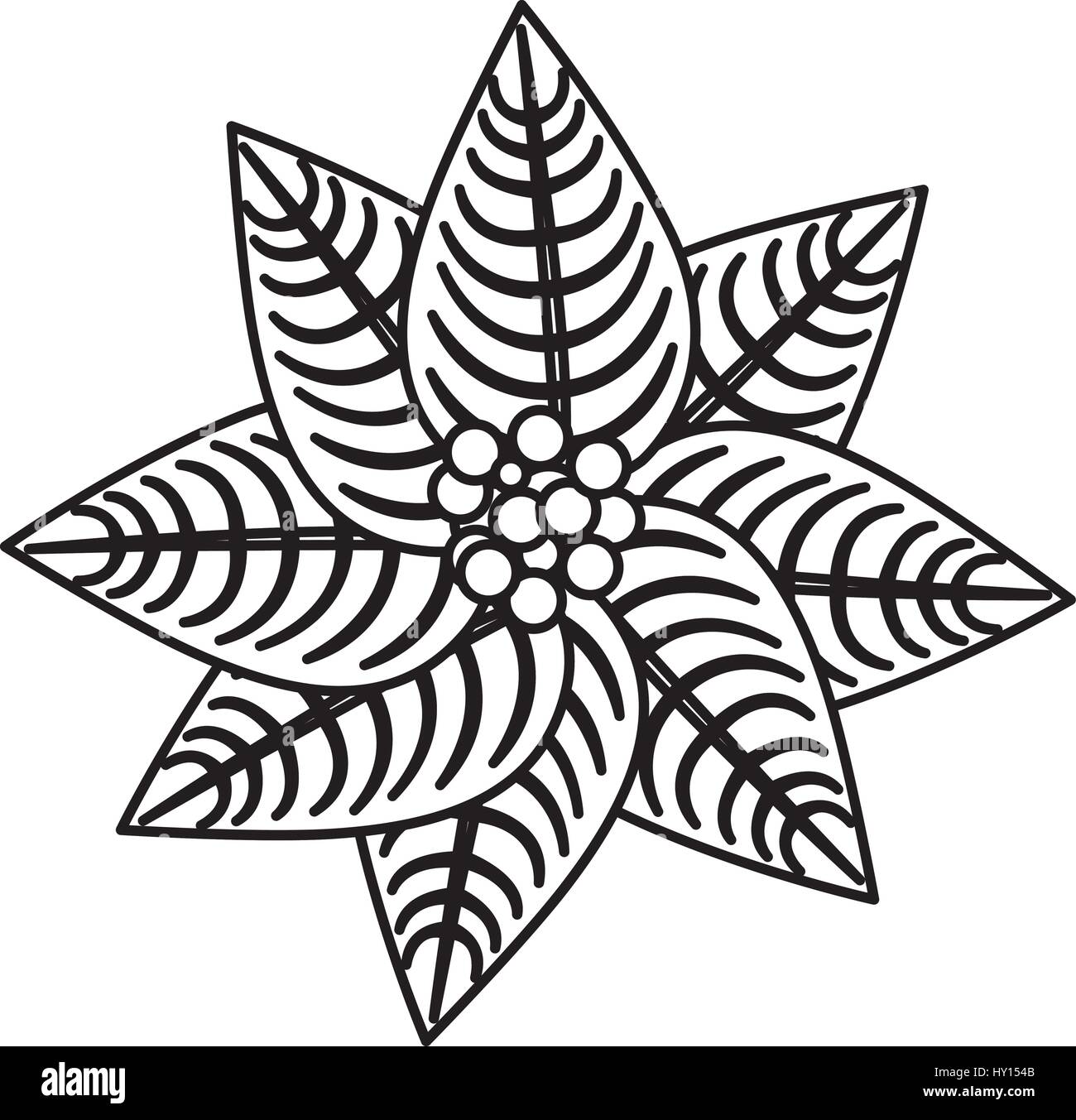 Silhouette Weihnachtsstern Christmas Blumen Icon design Stock-Vektorgrafik  - Alamy