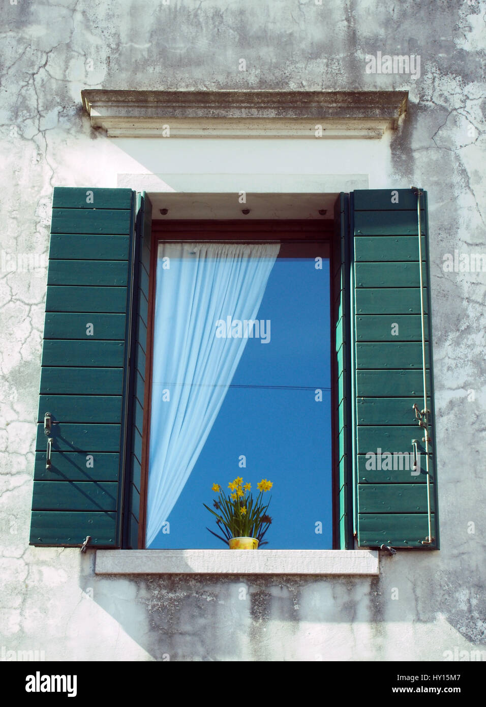 italienische fenster mit grunen fensterladen aus holz und topfpflanze gegen eine weisse wand hy15m7