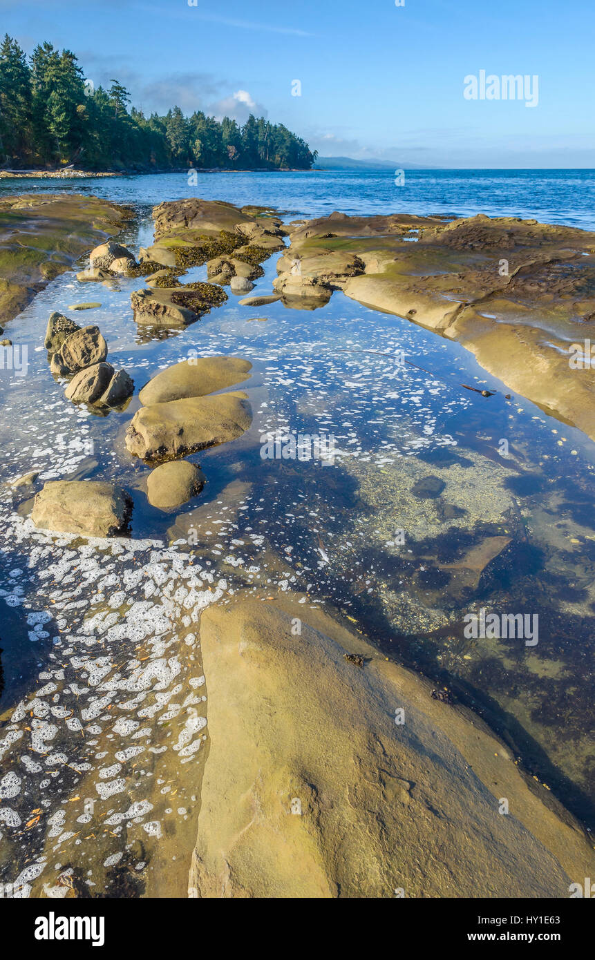 Felsen und Tidepools, Cable Bay, Galiano Island, British Columbia, Kanada Stockfoto