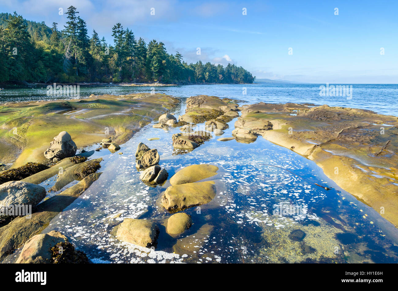 Felsen und Tidepools, Cable Bay, Galiano Island, British Columbia, Kanada Stockfoto