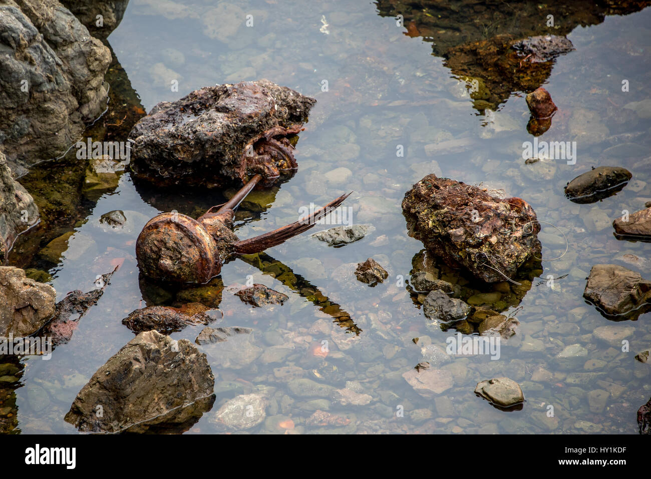 Seltsame Mischung aus künstlichen Objekte und Natur im Glas Beach im MacKerricher State Park in der Nähe von Fort Bragg, Kalifornien, ehemaligen Gelände der einer Müllhalde gefunden. Stockfoto