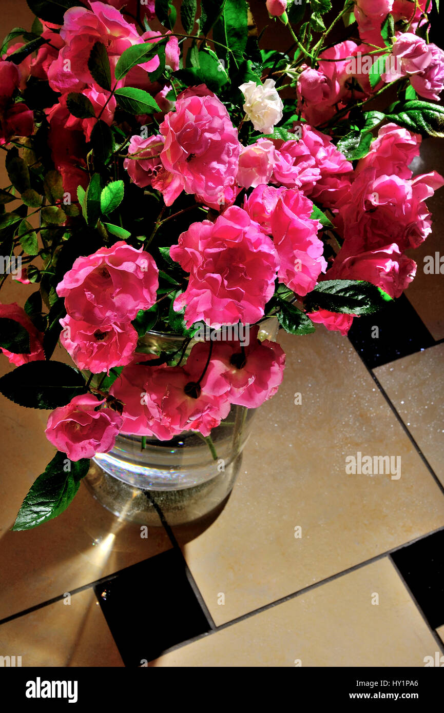 Rosen Stil Leben Romantik Rosenblüten frische Blüte Flora rosa Farbe Farben Dekor Dekoration Schatten reichlich, Anordnung, Kunst, künstlerisch, schön, bouque Stockfoto