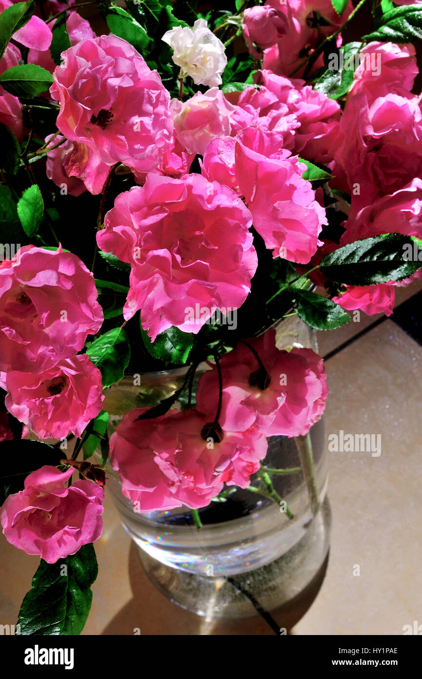 Rosen Stil Leben Romantik Rosenblüten frische Blüte Flora rosa Farbe Farben Dekor Dekoration Schatten reichlich, Anordnung, Kunst, künstlerisch, schön, bouque Stockfoto