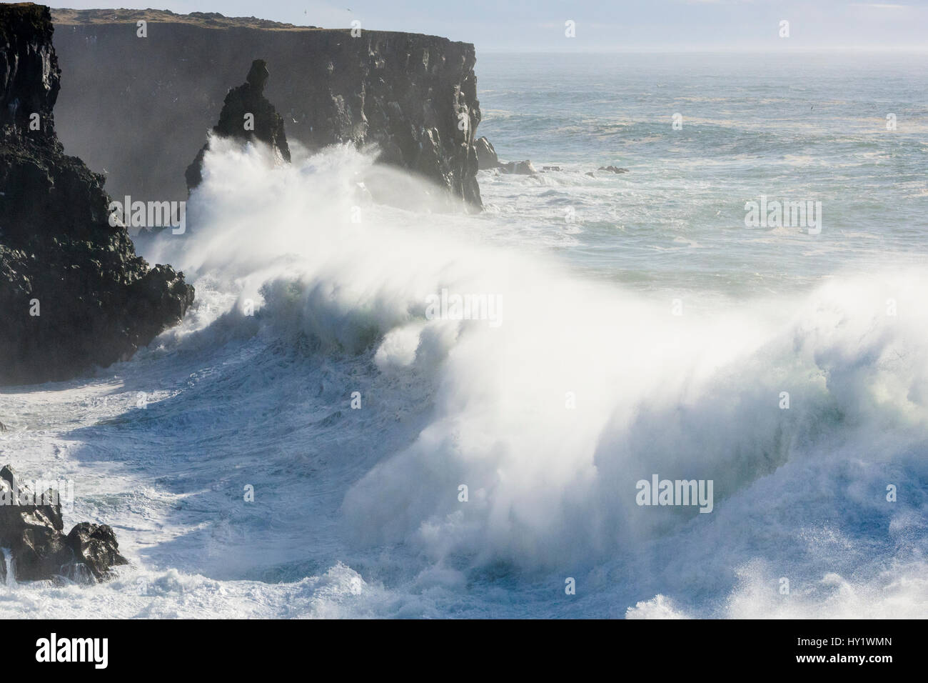 Sturmwellen gegen die Klippen am Svortuloft, Island. Stockfoto