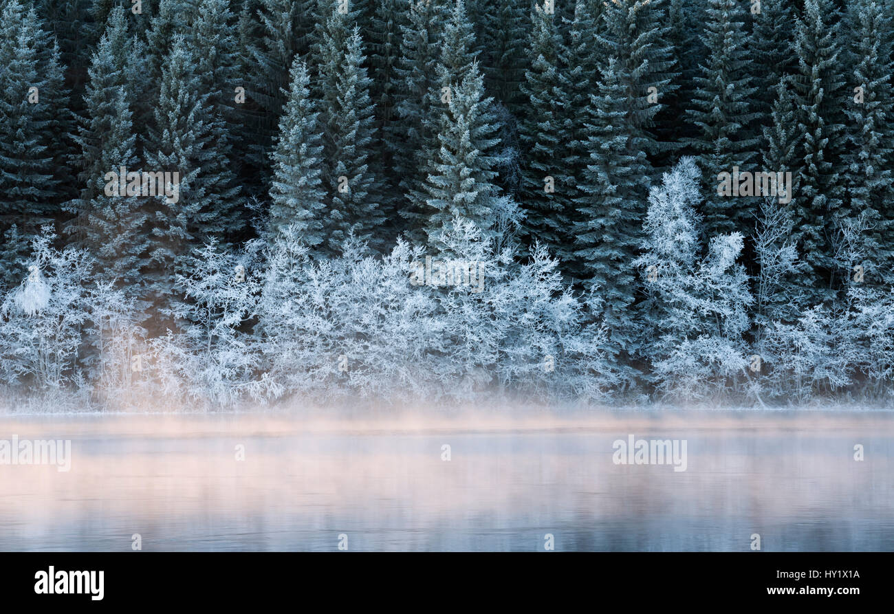 Kalten Wintertag am Fluss Nidelva. Klaebu, Norwegen. Stockfoto