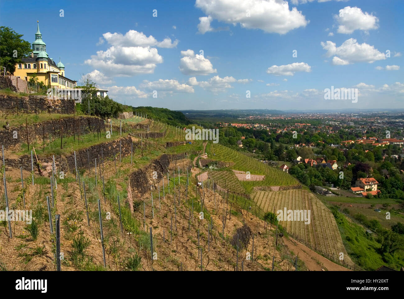 Stock Foto von einem Blick über das Elbtal ein Welterbe-Bereich von der Weinberge von Radebeul bei Dresden gesehen. Auf der Lefthandside sehen Sie th Stockfoto