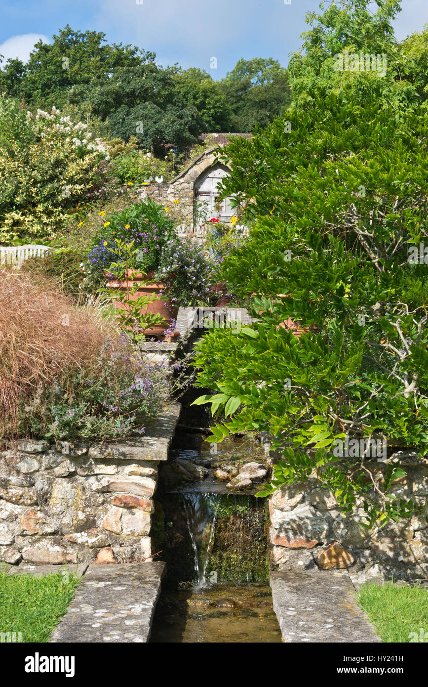 Foto von der Millenium-Garten Burrow Farm Gardens, auch bekannt als Osten Devons Secret Garden, in der Nähe von Axminster, Devon, England, UK Stockfoto