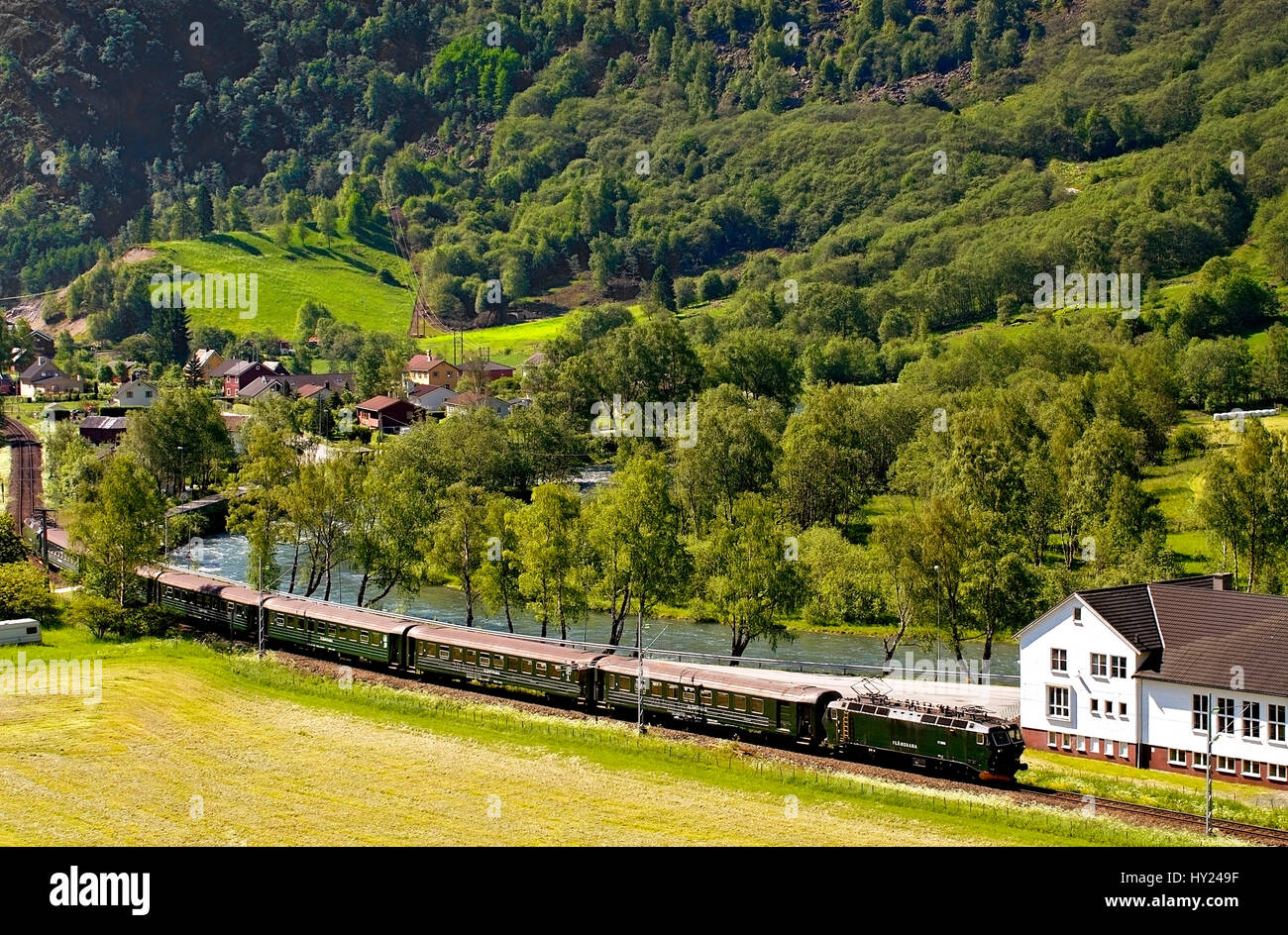 Dieses Bild zeigt den berühmten Flam trainieren, betrieben eine der höchsten Altidute Zug weltweit, fahren durch eine typisch norwegische Landschaft in der Nähe von Flam Stockfoto