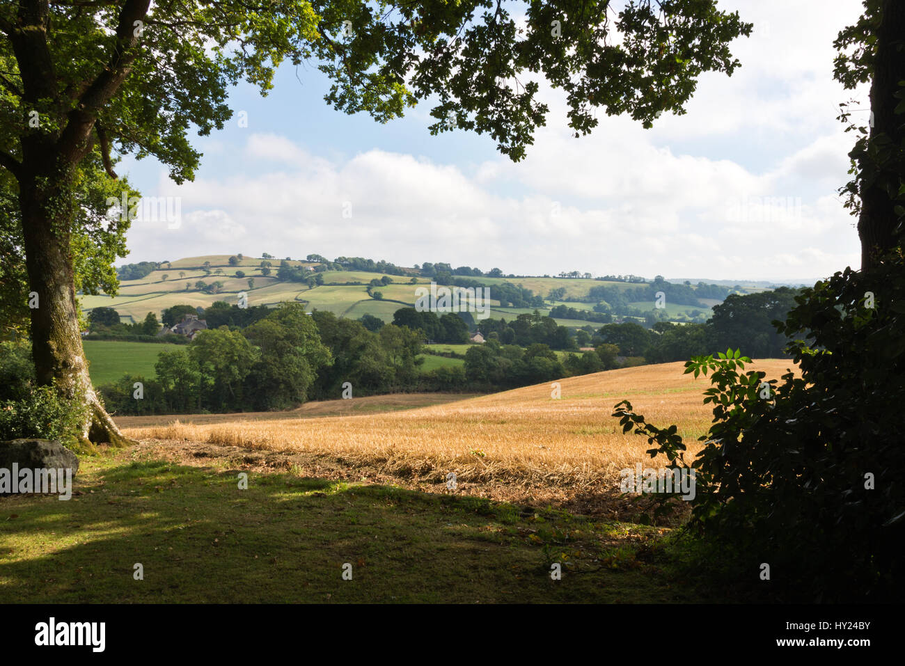 Der Blick über die offene Landschaft von Burrow Farm Gardens, auch bekannt als Osten Devons Secret Garden, in der Nähe von Axminster, Devon, England, UK Stockfoto