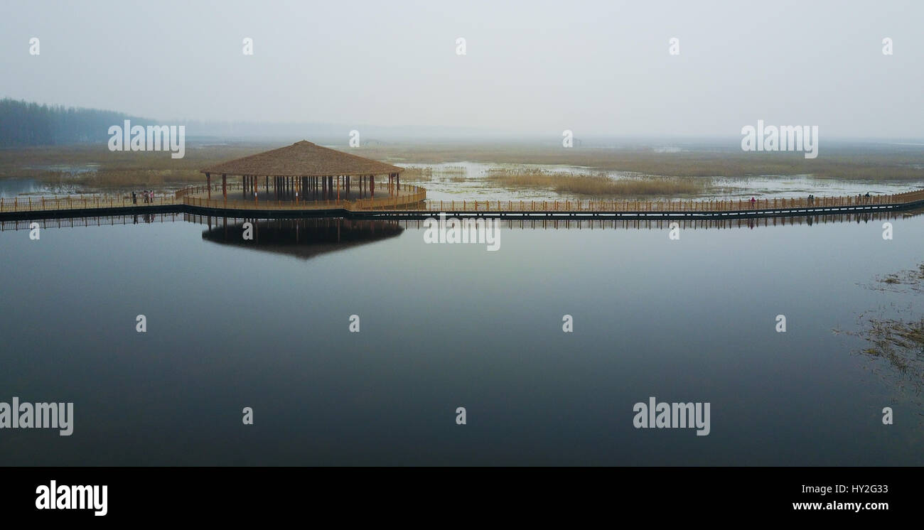 (170401)--BAODING, 1. April 2017 (Xinhua)--Luftbild, aufgenommen am 22. März 2017 zeigt Baiyangdian, Nordchinas größte Süßwasser-Feuchtgebiet, in Anxin Grafschaft, Nord-China Provinz Hebei. China kündigte Samstag es Xiongan neue Bereich in der Provinz Hebei, als Teil der Maßnahmen, die koordinierte Entwicklung der Region Beijing-Tianjin-Hebei (BTH) etablieren würde. Der neue Bereich wird etwa 100 km südwestlich der Innenstadt von Peking, drei Landkreise erstrecken, die sitzen in der Mitte des dreieckigen Bereich von Peking, Tianjin, Hebei die Provinzhauptstadt Shijiazhuang gebildet. (Xinhua/Wang Jianhua) Stockfoto