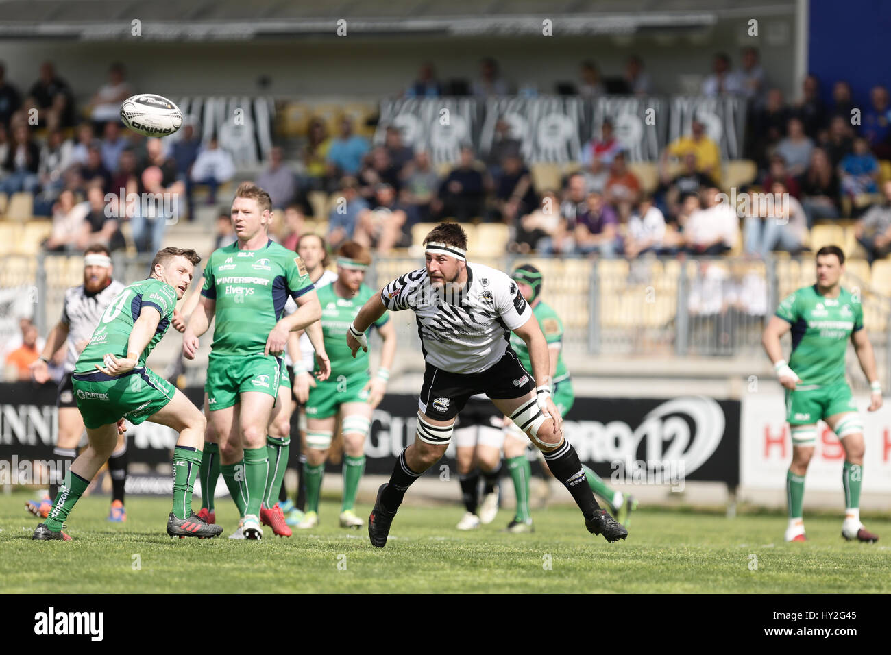 Parma, Italien. 1. April 2017. Connacht Fly Hälfte Jack Carty verliert den Ball im Spiel gegen Zebre Guinness Pro12 © Massimiliano Carnabuci/Alamy News Credit: Massimiliano Carnabuci/Alamy Live News Stockfoto