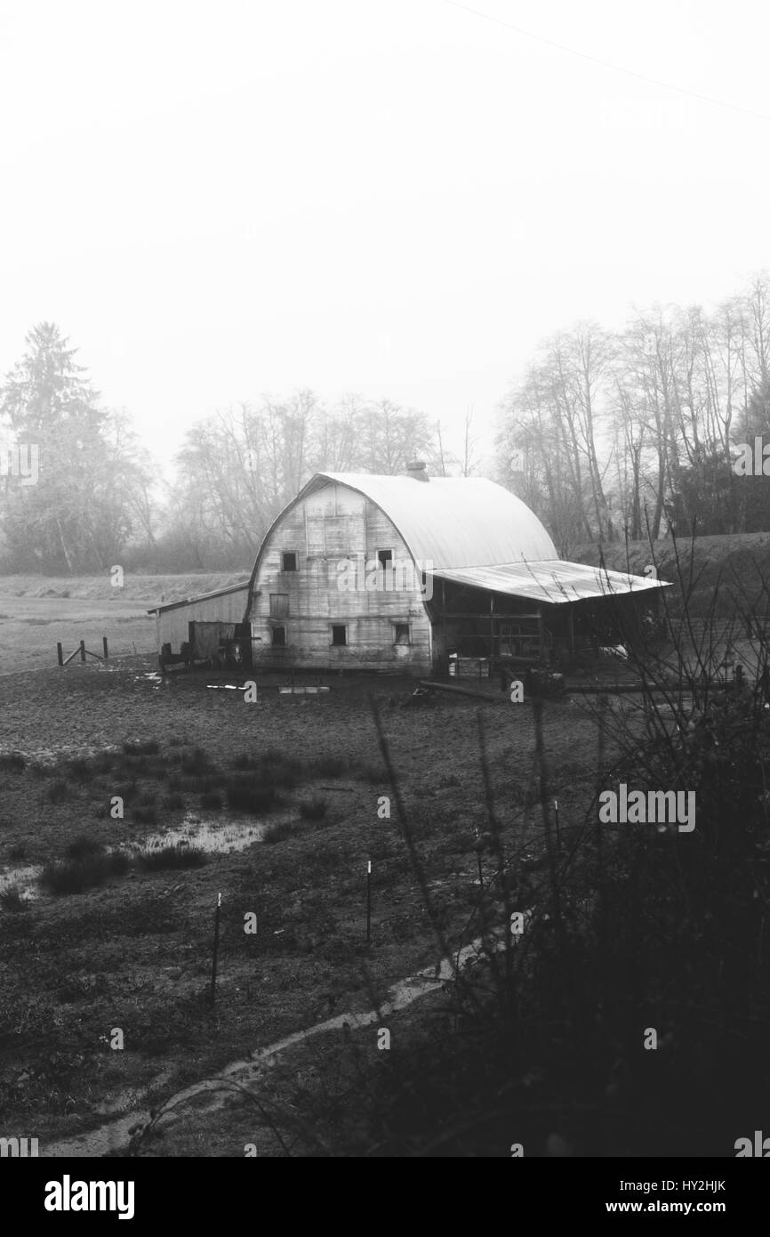 Alte Scheune Gebäude in der Landschaft in der Nähe der Küste von Oregon. Winter-Tag-Einstellung. Schwarz / weiß Foto. Stockfoto