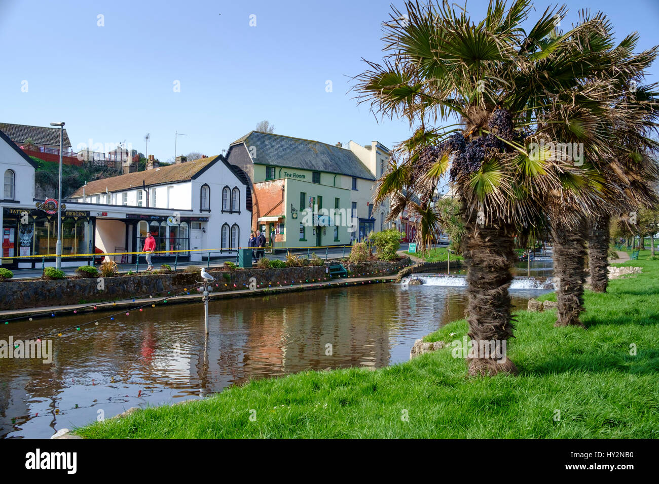 Dawlish, einer Küstenstadt im Süden Devon England UK Stockfoto