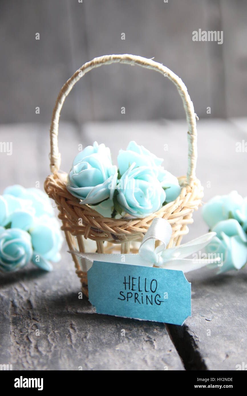 Hallo Frühling Tag und Blumen in einem kleinen Korb Stockfoto